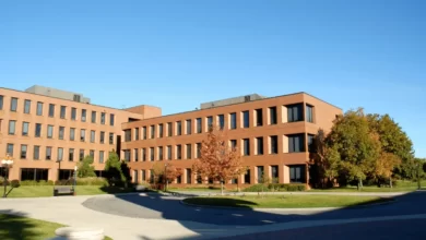 كليات إدارة الأعمال