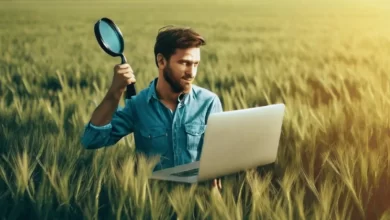 بحث عن مجالات العمل الحر